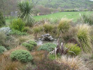 Mixed native planting