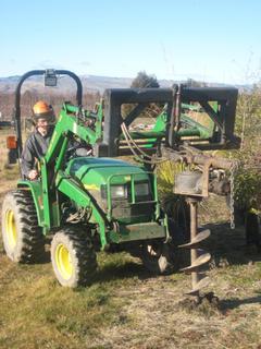 Tree planting