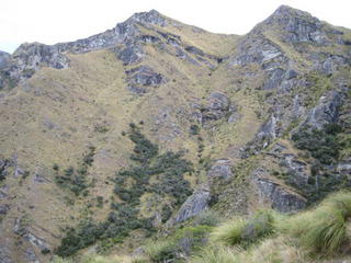 Skippers Canyon area