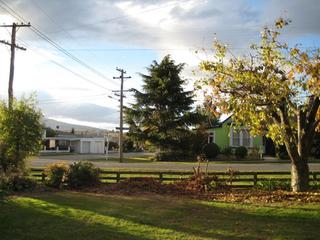 Trees+Wires: AFTER