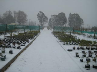 Winter 2011