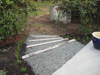 Macrocarpa and gravel steps