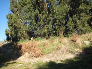 Waste areas