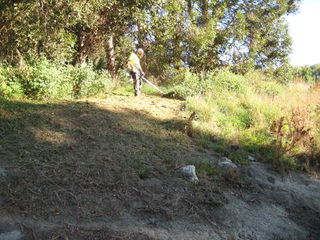 Prevent overgrowth
