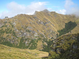 Skippers area