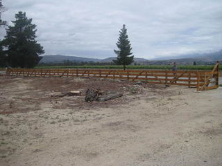 Re Planting